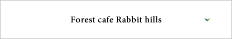 Forest cafe Rabbit hills